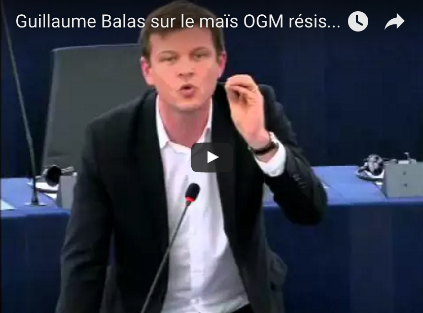 Guillaume Balas sur le maïs OGM résistant au roundup : Il y a là un incroyable déni démocratique