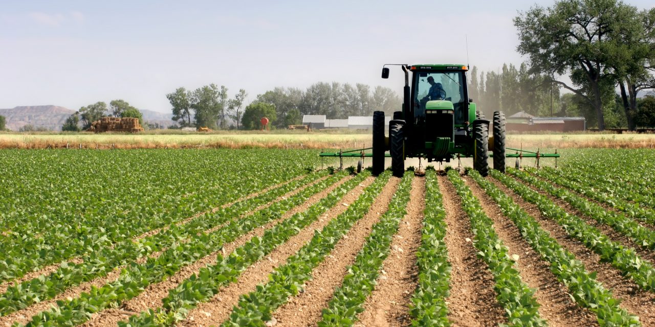 Monsanto Papers : la Commission européenne doit agir vite