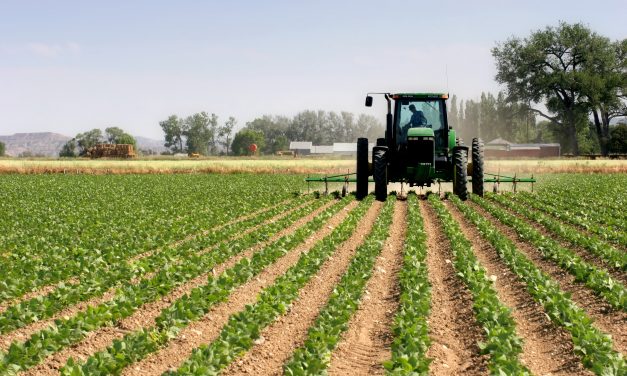 Monsanto Papers : la Commission européenne doit agir vite