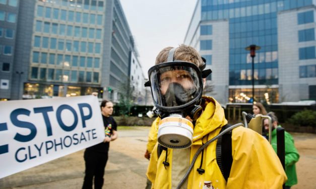 Glyphosate : une faute grossière pour l’avenir de la construction européenne
