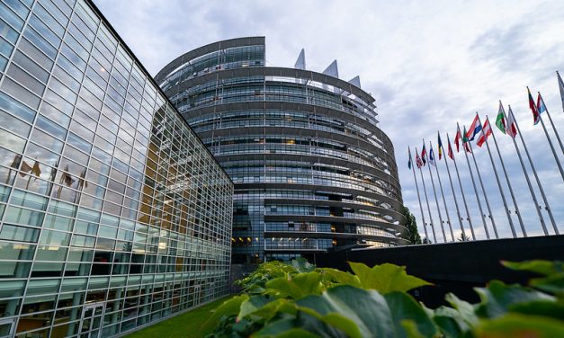 Poupées sexuelles d’apparence enfantine et armes prohibées : l’Europe doit suspendre Shein, AliExpress, Temu et Wish