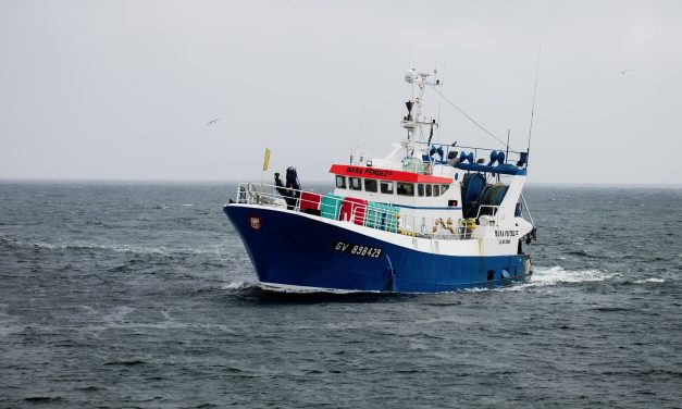 Économie bleue : un juste équilibre entre protection de l’environnement et activités de pêche