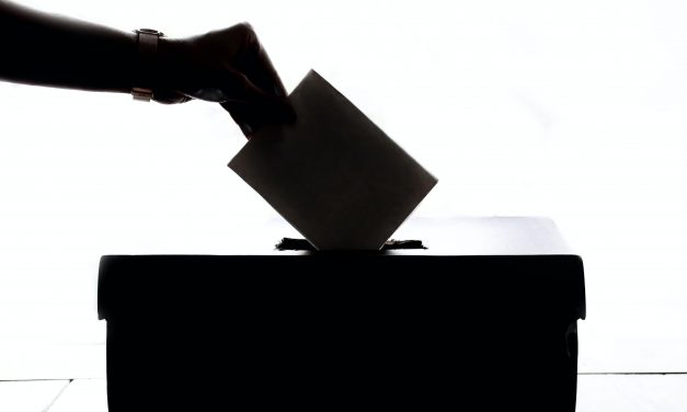 Citoyenneté européenne : faciliter la participation et le vote des européennes et européens vivant dans un autre État membre que le leur aux élections européennes et locales