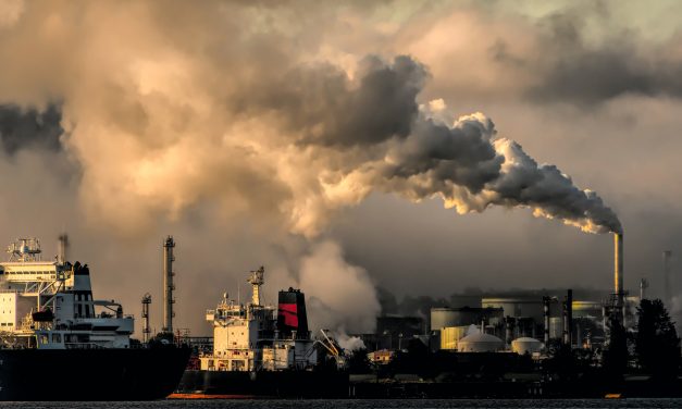 Lettre d’informations de la délégation de la gauche sociale et écologique N°135