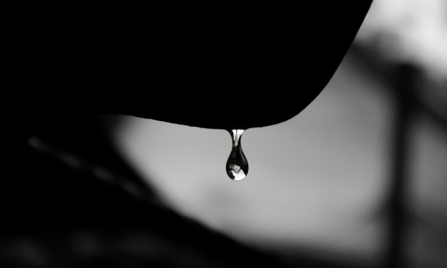 COP 26 à Glasgow : un tout petit pas pour l&rsquo;Homme, un tout petit pas pour l&rsquo;Humanité