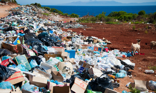Lettre d’informations de la délégation de la gauche sociale et écologique N°165