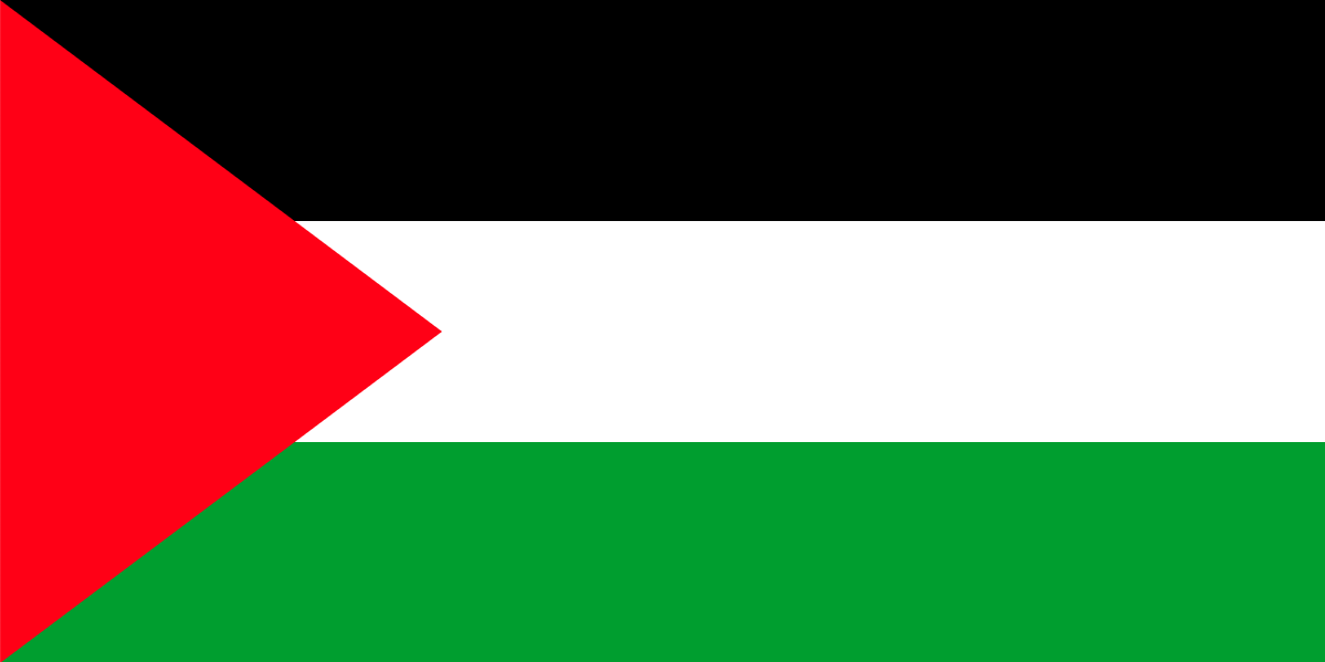 Reconnaissance de l’État de Palestine : transformer le symbole historique en actions